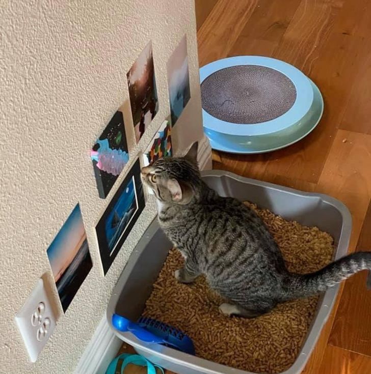 ca8ff25108b41d9c92e855d97e