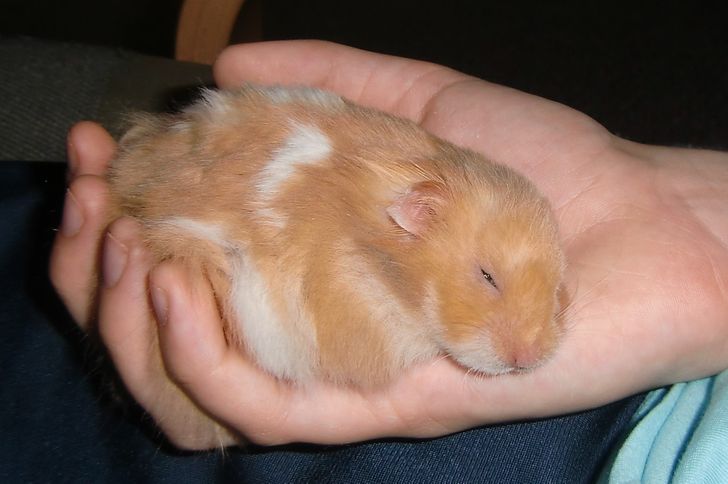 ca905a54649a128344af5ee385