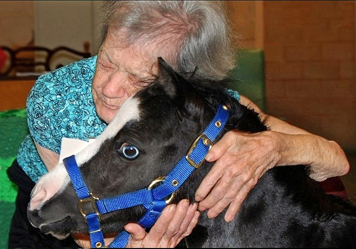 ca925651719a2727b7c5657976