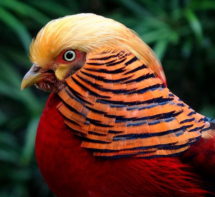 ca93fe5255933f73f1b8acb104