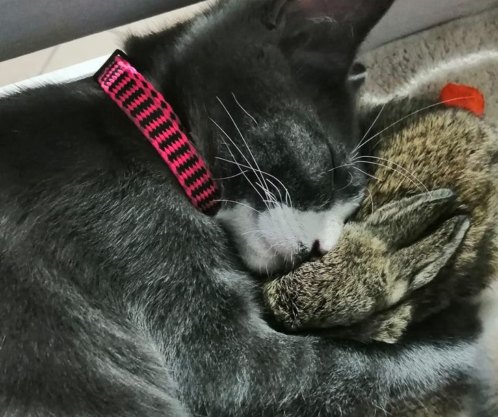 ca94e25098a166193ebb068179