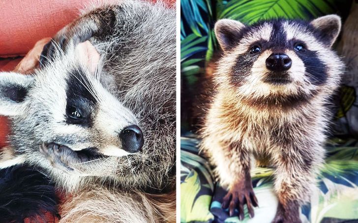 ca99bf5c598e10f821f8c93776