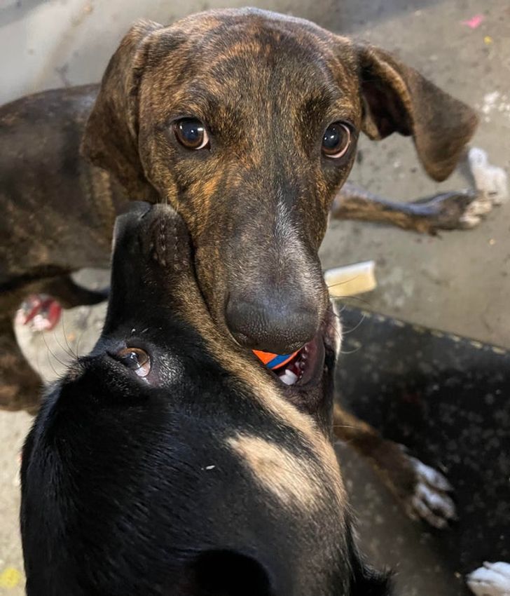 ca9ee35f5989151be559fcbe32 ca9ee35f5989151be559fcbe32