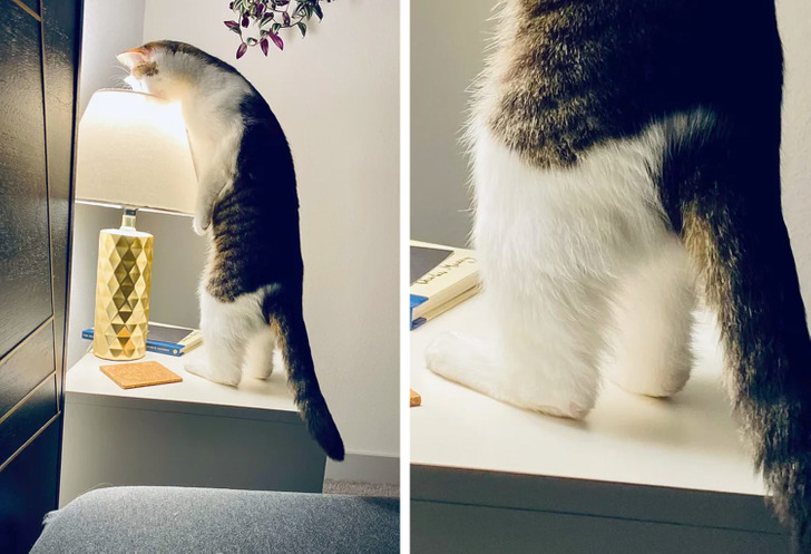 caaa7751eca8c3627d88756dc2 caaa7751eca8c3627d88756dc2