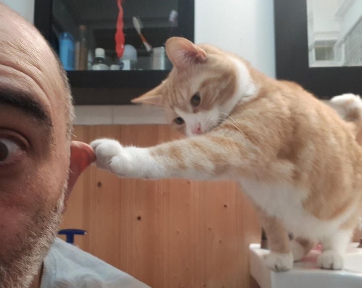 caad5051f2b820f508aacbd1e3