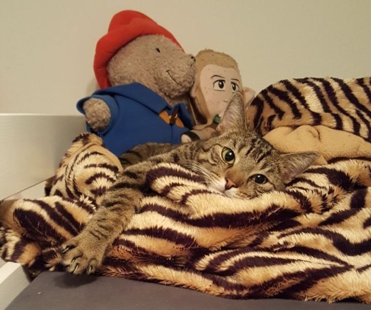 caadeb5289a602646955fb7472