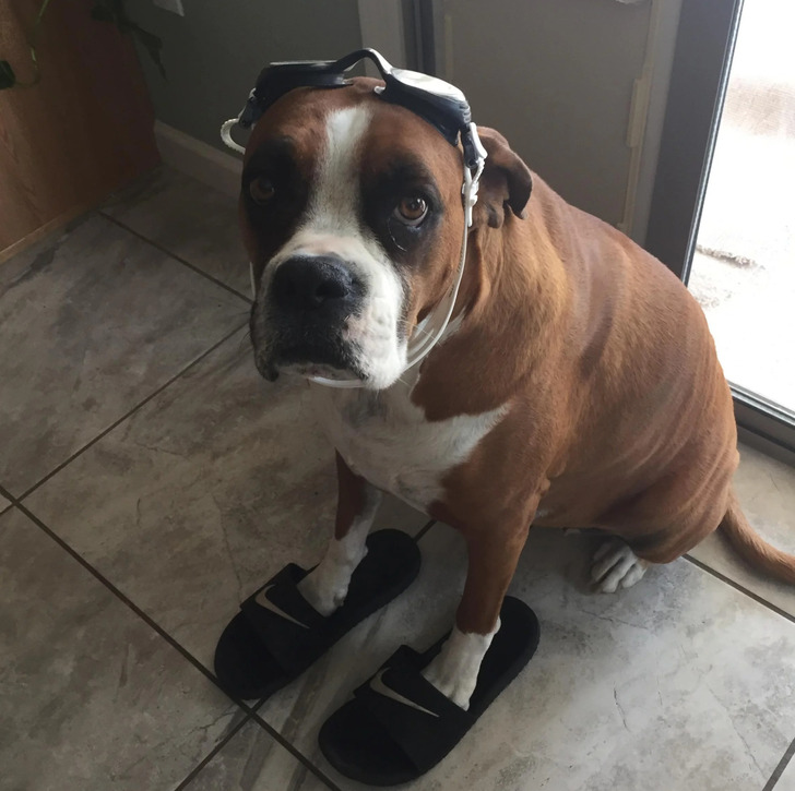 caae4a56e8a025fcaacc4130a6