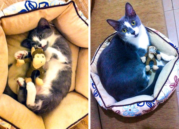 cab3d75c4eb7ca386759eff1a4