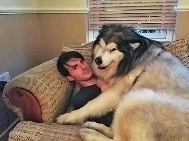 cab41e5370ab90a4abaa4afa82