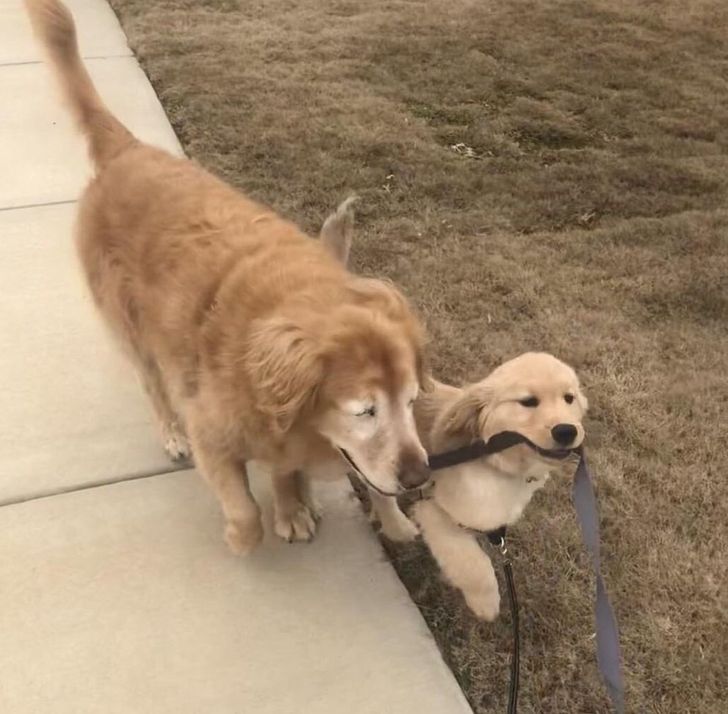 cabed258e583a2c67102410629