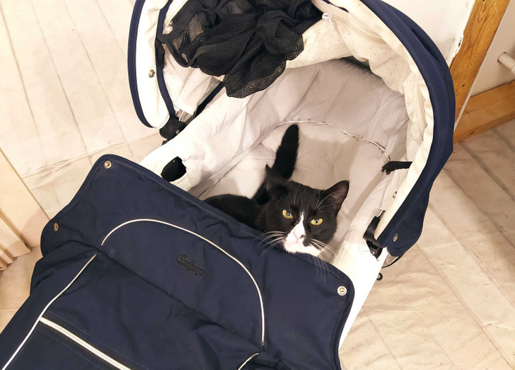 cabf365704a94c27272c7c52c5 cabf365704a94c27272c7c52c5