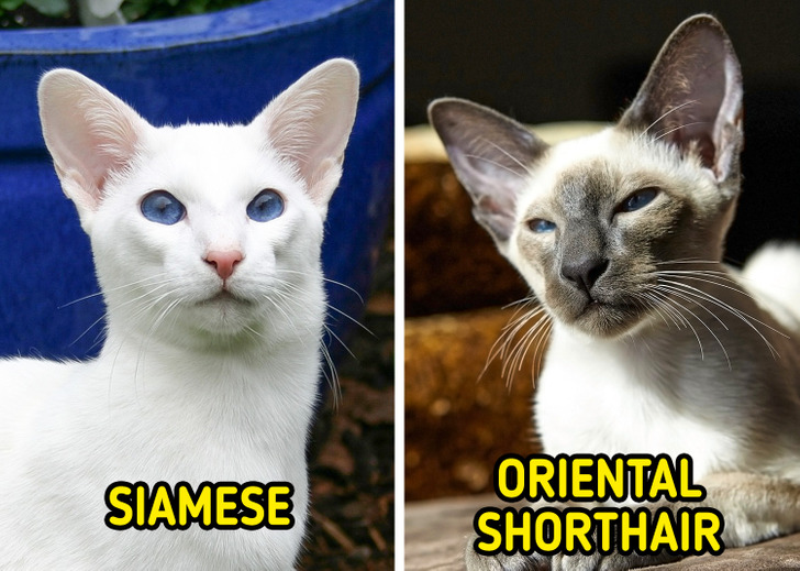 cac0cf5682a9c6fd0c7b159b5c