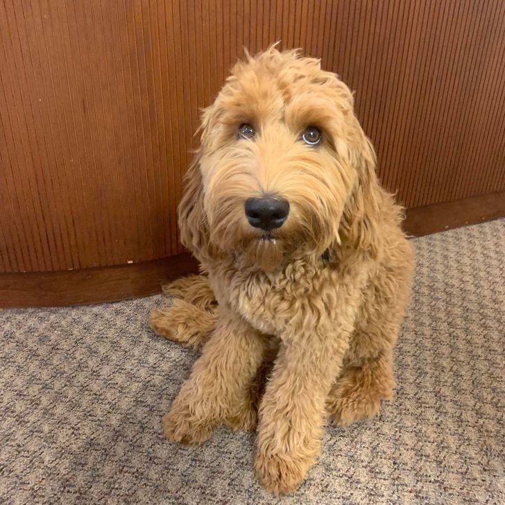 cacb9a5133977436984e9186b1