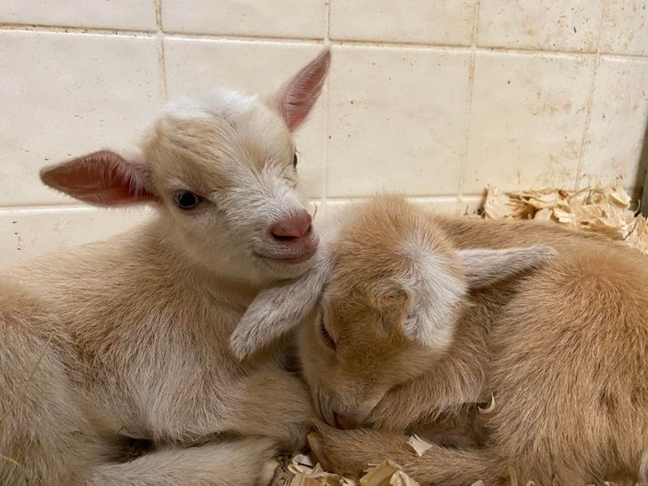 cace1657328b9919f5fa138d7b