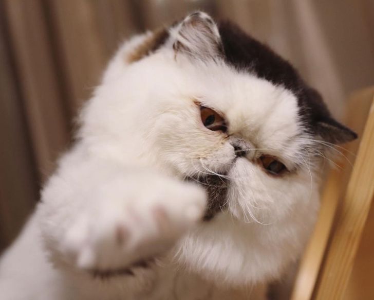 caced8566f9f1c536f7d7131de