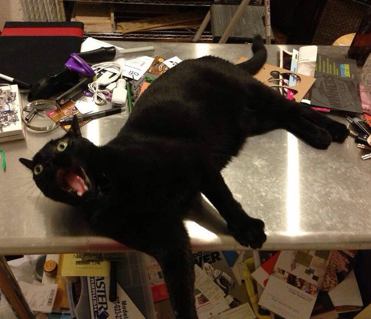 cad04259909b3940e9e208e455