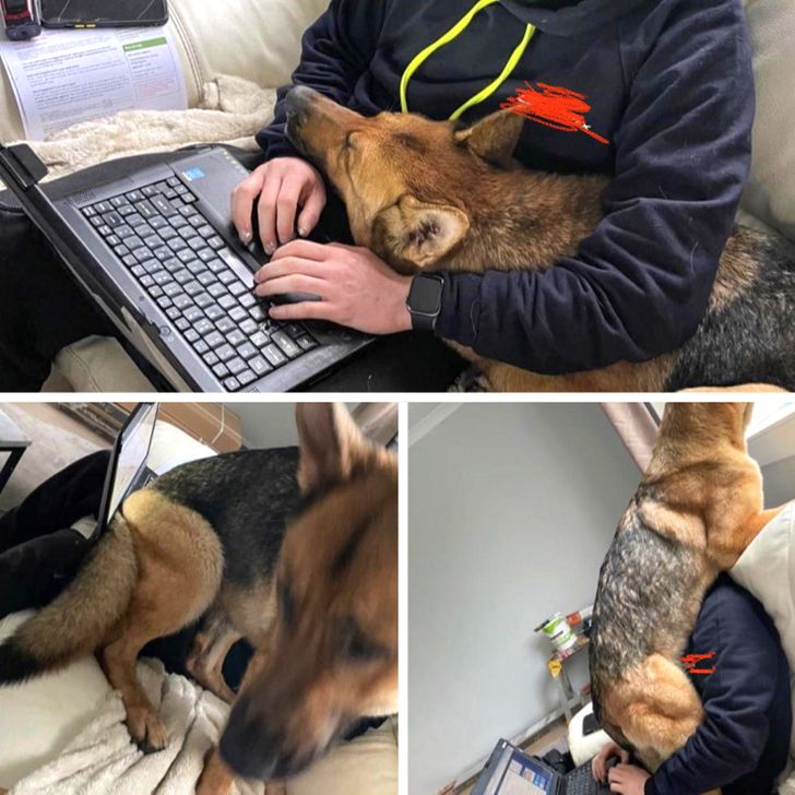 cad4ba56129a78f0db2c730310 cad4ba56129a78f0db2c730310