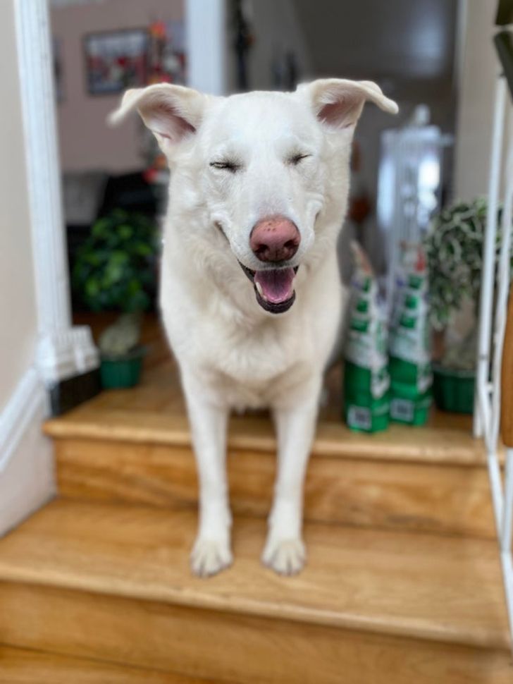 cae0365a62b1a859a19af70b83