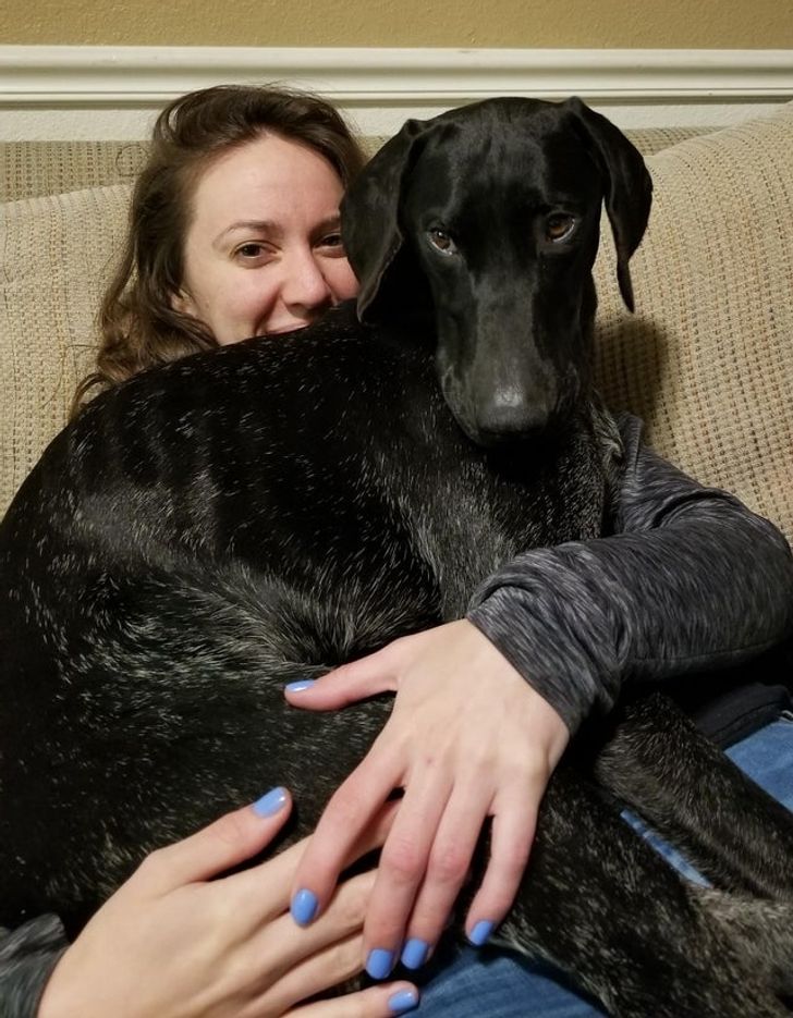 cae2d6504d9d06902a9fded00e