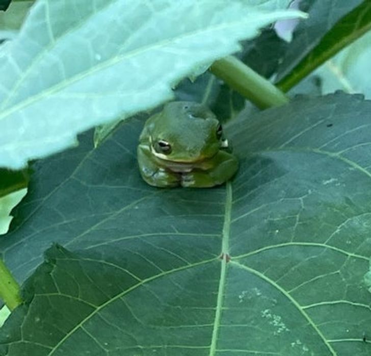 cae32b53f393e0b87aefb981bc cae32b53f393e0b87aefb981bc