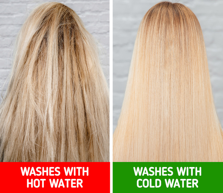 cae6635e87991d88e5bd8dd8ba