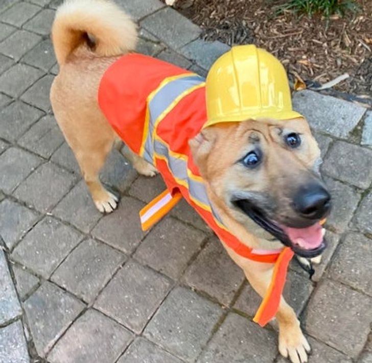 cae85053279f20d56c43676c8b