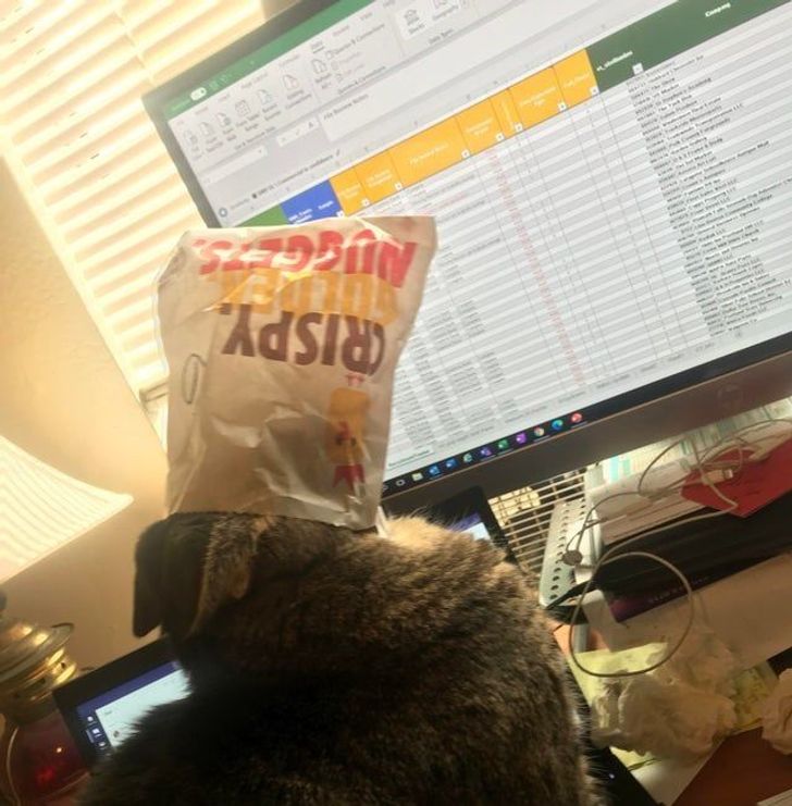 caefd1525a899fad717dd970e1