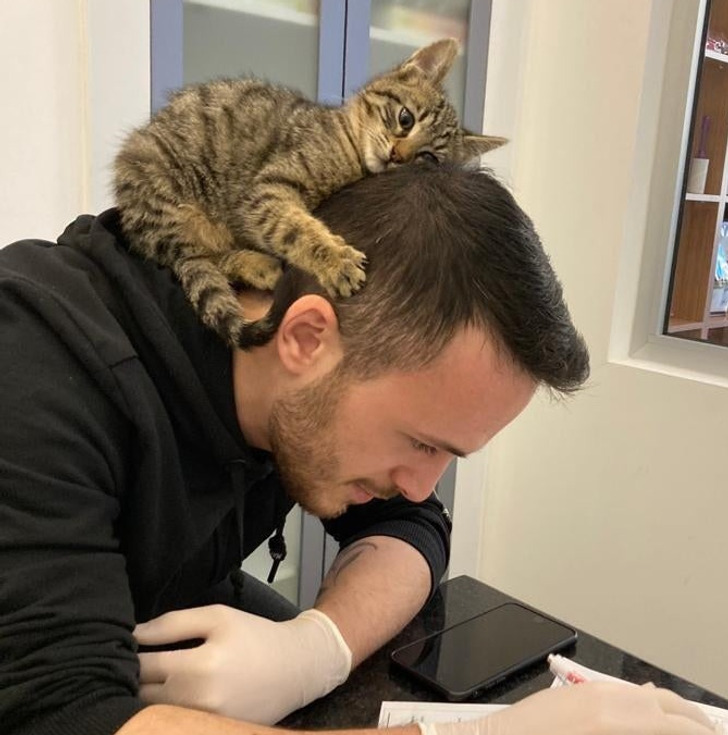 cafaec5d6fbd6d69c9d0f9c08a cafaec5d6fbd6d69c9d0f9c08a