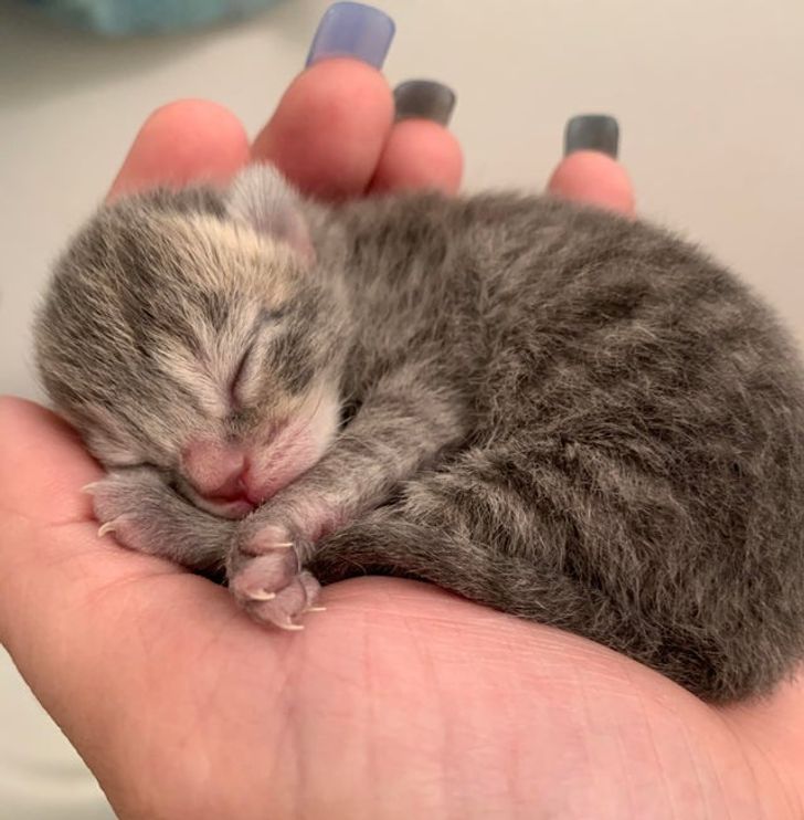 cafbbd5d1bb70c4c7d0629d4d7