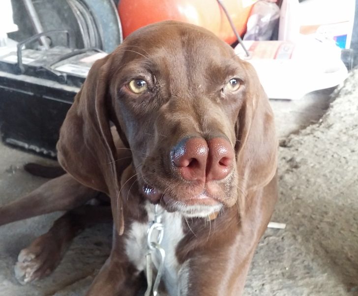 cafce7509284787a22bc7262ea