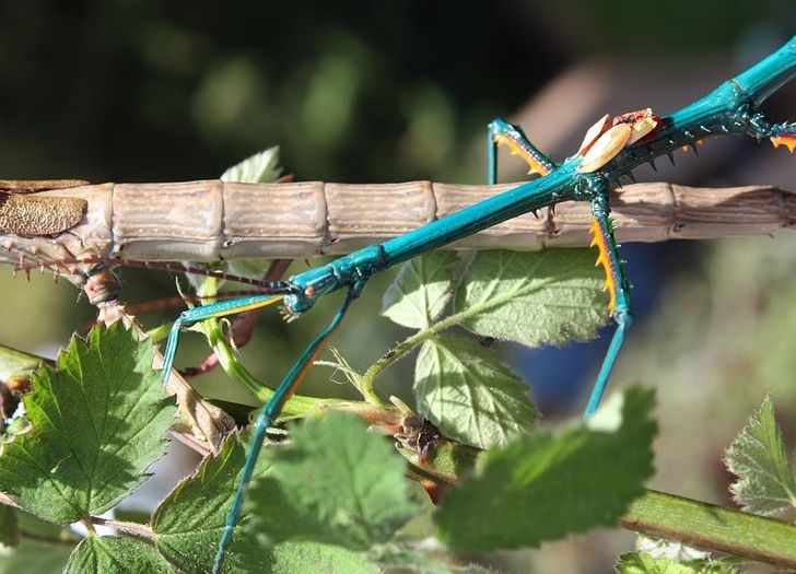 cb037951ff85269ca5f88871b8