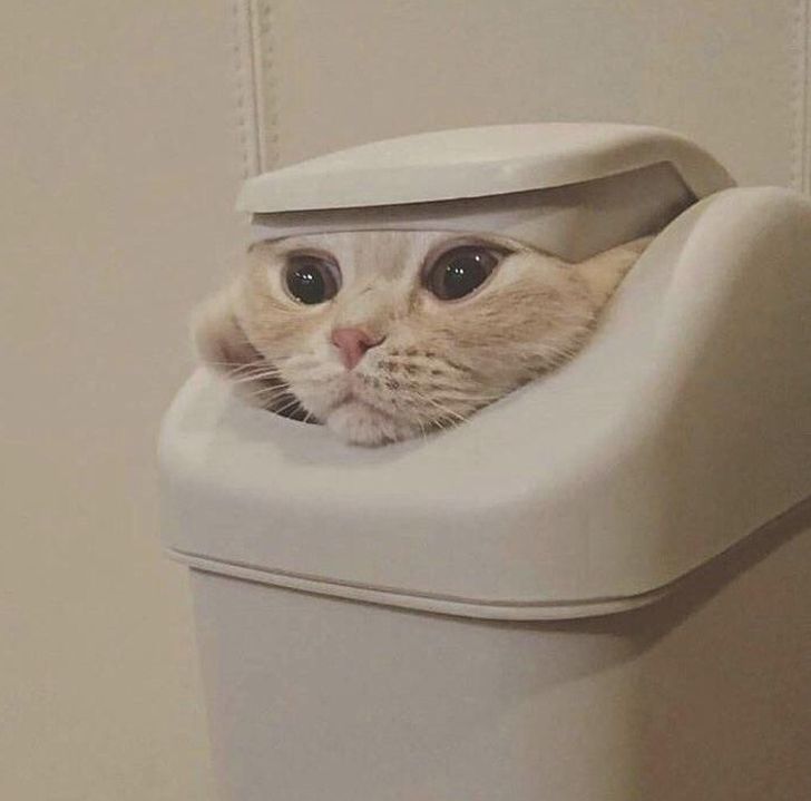 cb08c35896ac5314735ae1731b