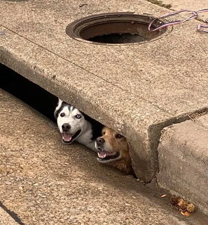 cb1960517097a4f69b79a3ed4a cb1960517097a4f69b79a3ed4a