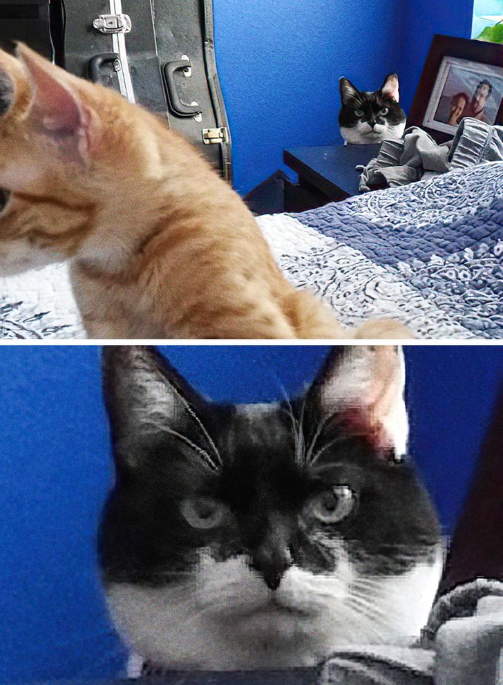 cb22cd5ff8b5b9ed712e7a2aad