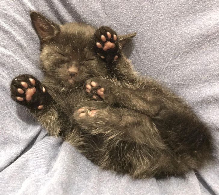 cb233f53d89bc2312f1086a0a8