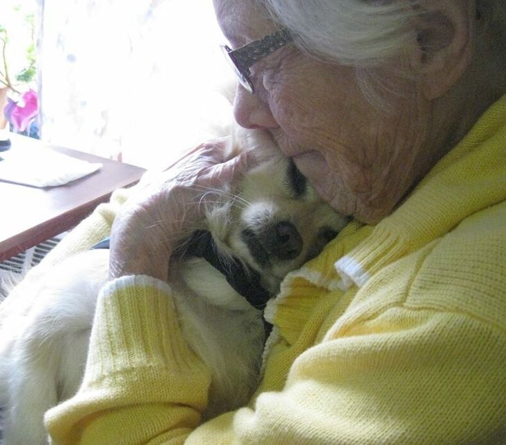 cb26de5756b90befc969f8f9f0