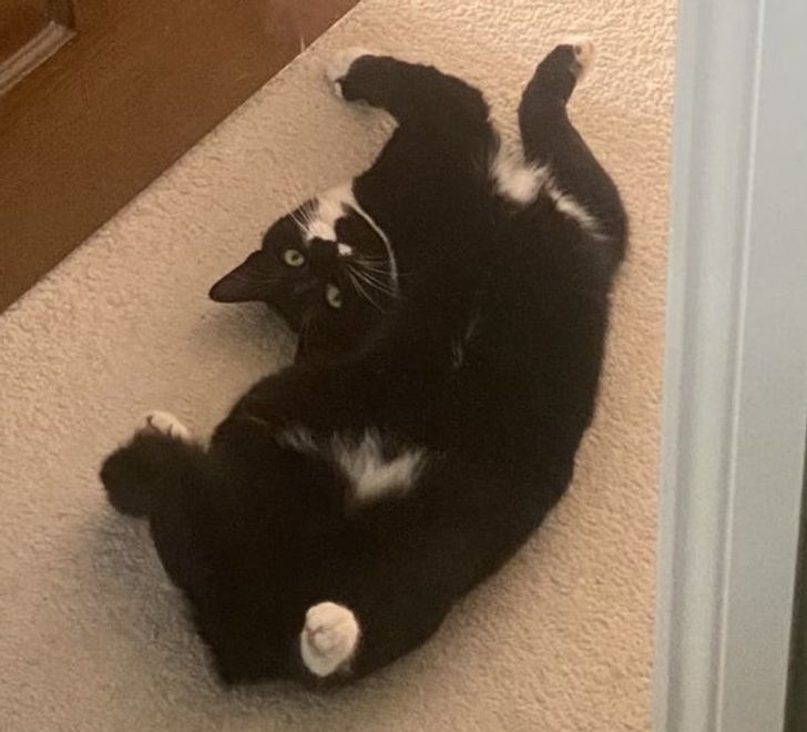 cb2ad55e049a76642eb609a5ef