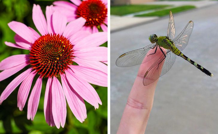 cb32bf58118072f0e623088f99