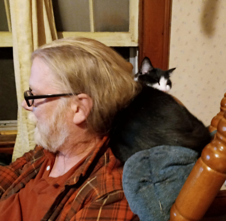 cb35935a6fbb66b9c94dd1610e cb35935a6fbb66b9c94dd1610e