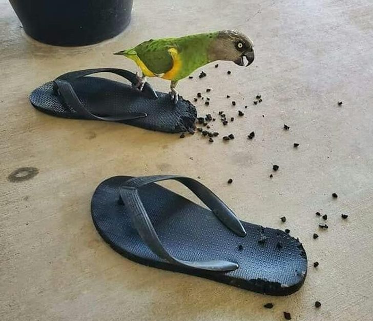 cb38e1540e8040de93b1e51ab8