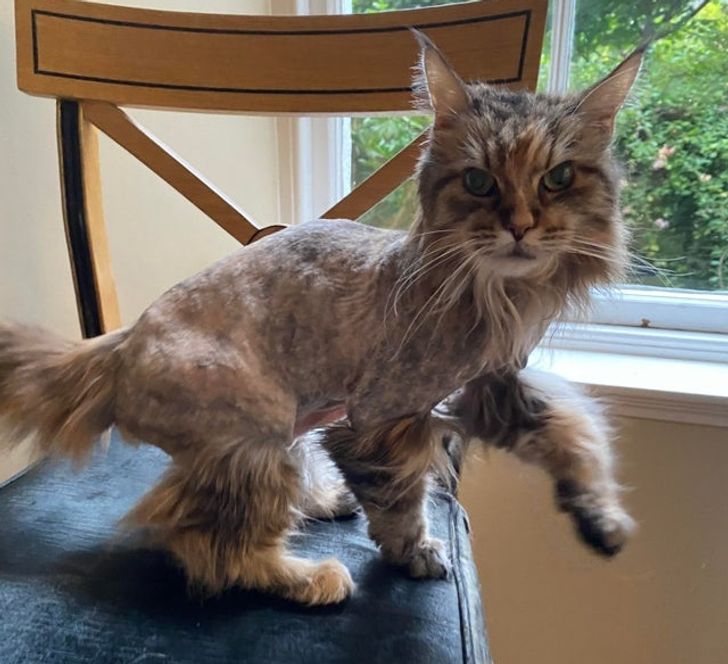 cb44a2516f944f4a7e4d8594fb cb44a2516f944f4a7e4d8594fb