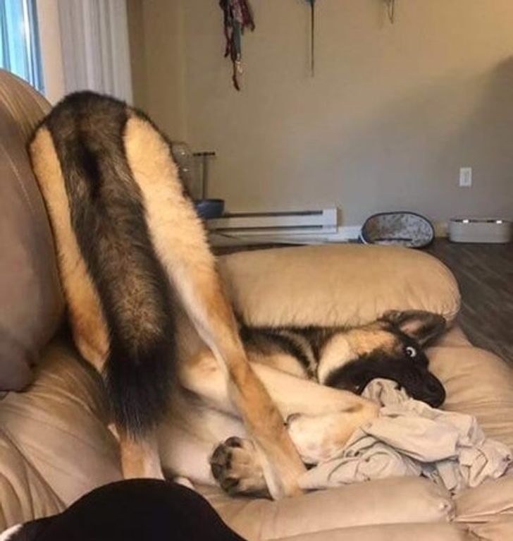 cb4dfc5aeca2ab3edad96122b6