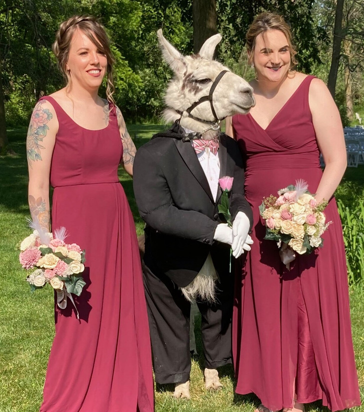 cb4e015142822345d8e6fd8726