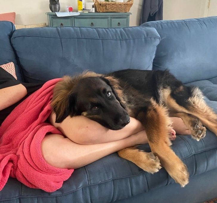 cb59325d6d806cd94605180aa4