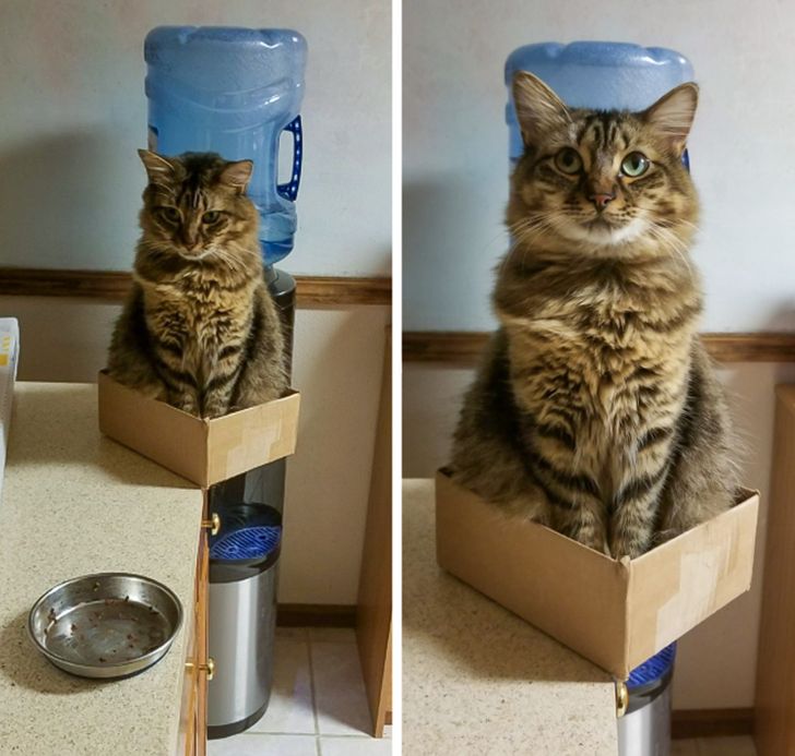 cb5a1a53219490a3b03cb6643f