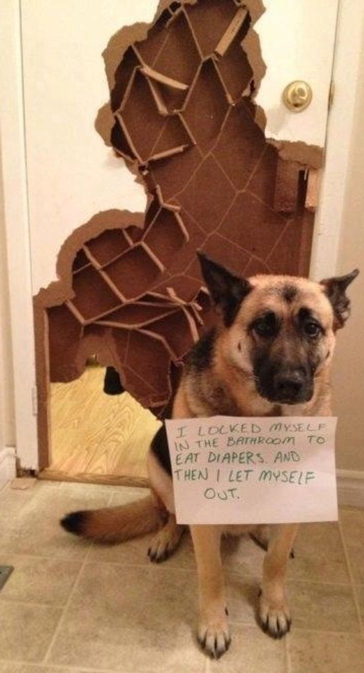 cb665d5e3db9a9dba6cf563019