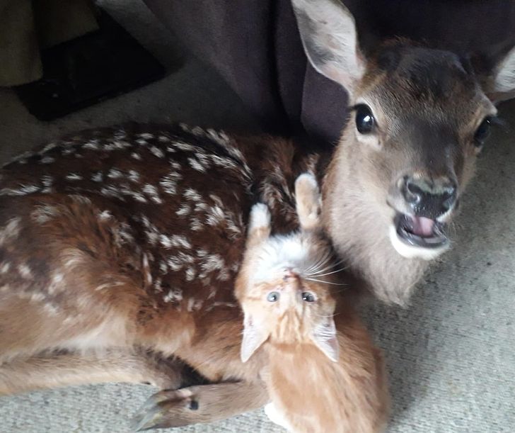 cb6660586185861baa6b7973da