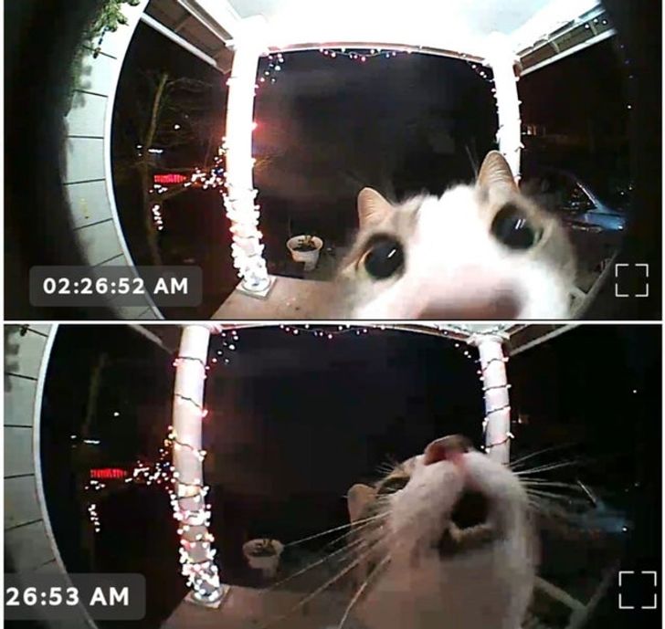 cb670f5b53ae3f20f1543999ac