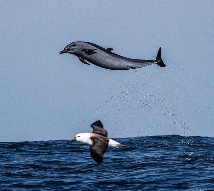 cb6dc851259147ca2faf685982