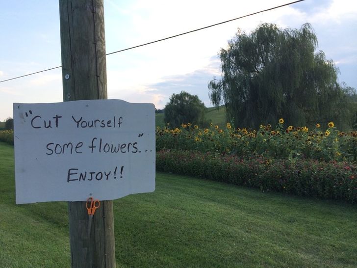 cb710c533e95f0aeef283a63d2